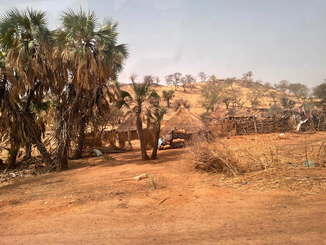 Traditional grass huts on the road from South Kordofan to North Kordofan. Photo: Kuna.