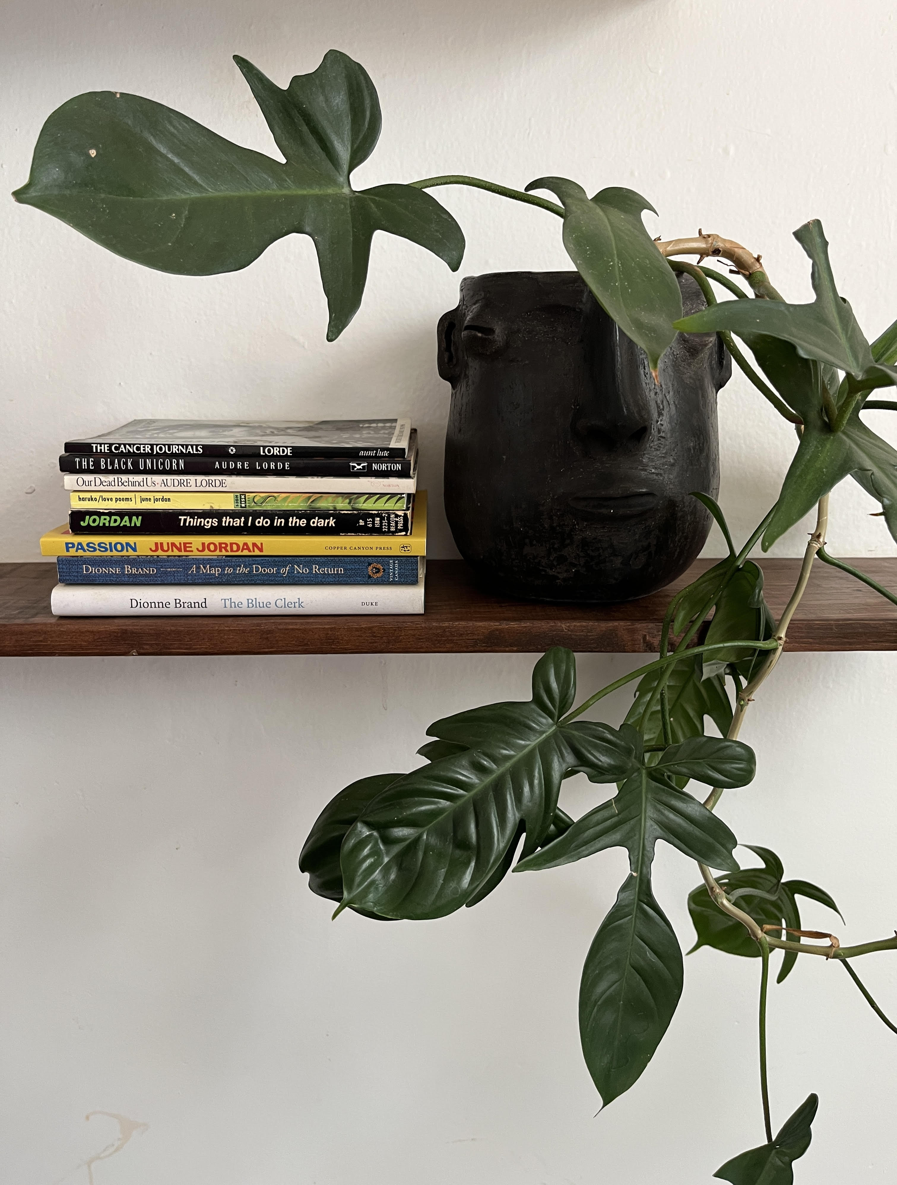 A selection of works by luminary poets mentioned by Rezina and Jada. Photo: Rezina Habtemariam.