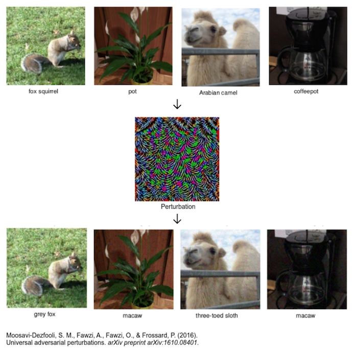 An adversarial-image diagram shows a fox squirrel, a potted plant, an Arabian camel, and a coffeepot, initially labelled correctly. After a multicoloured perturbation is applied, the visually similar images are misclassified as grey fox, macaw, three-toed sloth, and macaw.