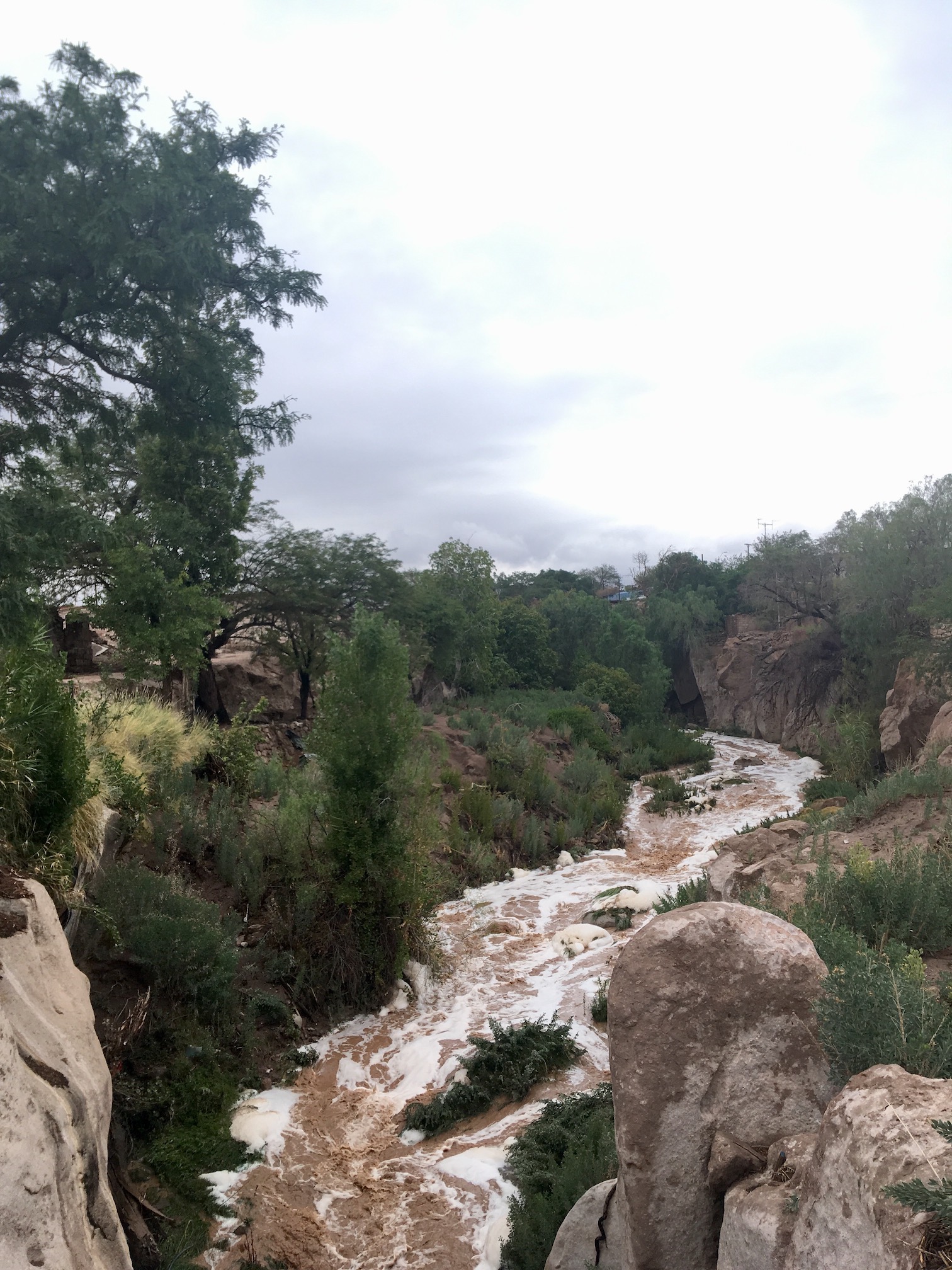 A stream in the Atacama.