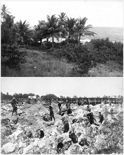 The island of Banaba shortly before mining began, ca. 1906. Below: Workers remove vegetation and soil to extract phosphate. Photo: Lilian Arundel via Alexander Turnbull Library.